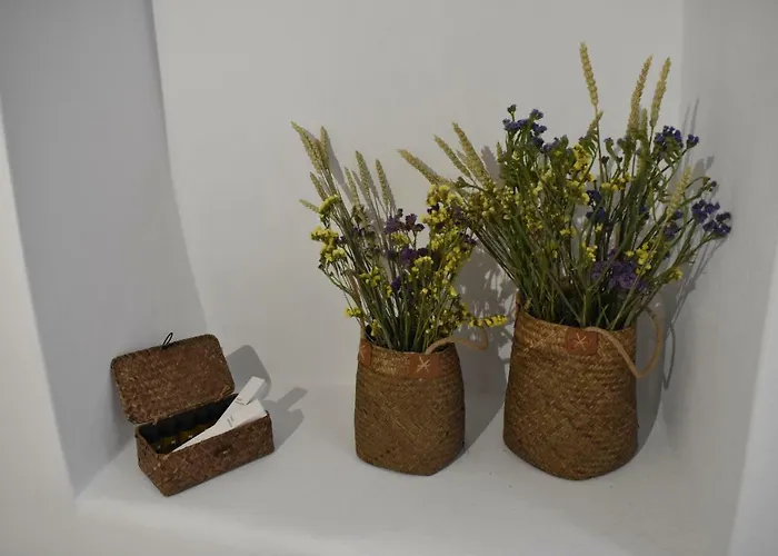 Naxian Castillo شقة Naxos City